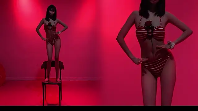 QAQ--01 网络视讯表演