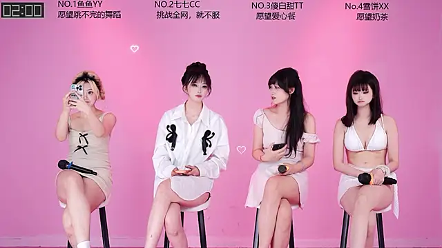 QAQ--01 网络视讯表演