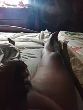 Show webcam de elmorenote10