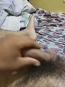 jjpalo Pertunjukan Webcam
