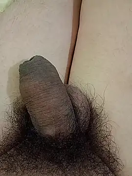 Show de webcam de assamguy95
