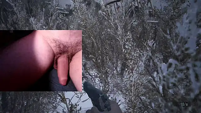 הופעת וובקאם של WARDOX5