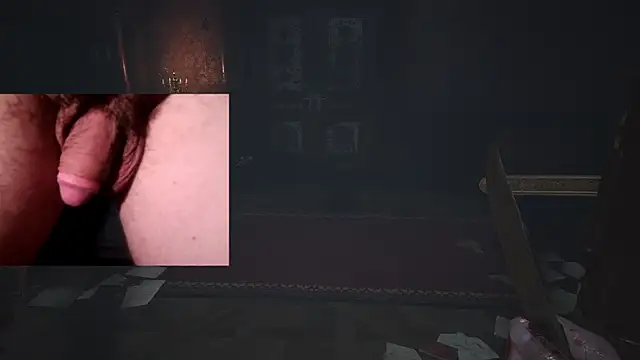 WARDOX5 Show in webcam