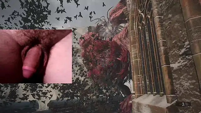 WARDOX5 webkamerás műsora
