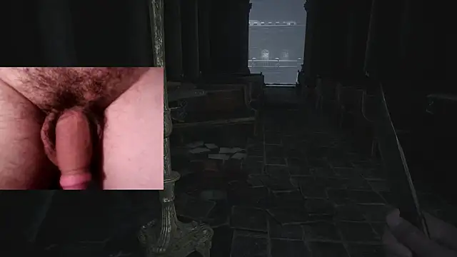 WARDOX5 Webcam-Show