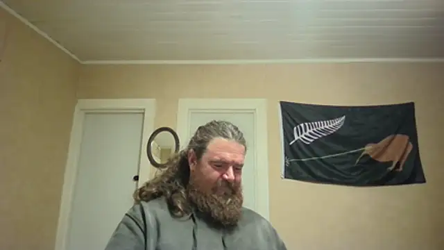 TIPseeen Webbikameraesitys