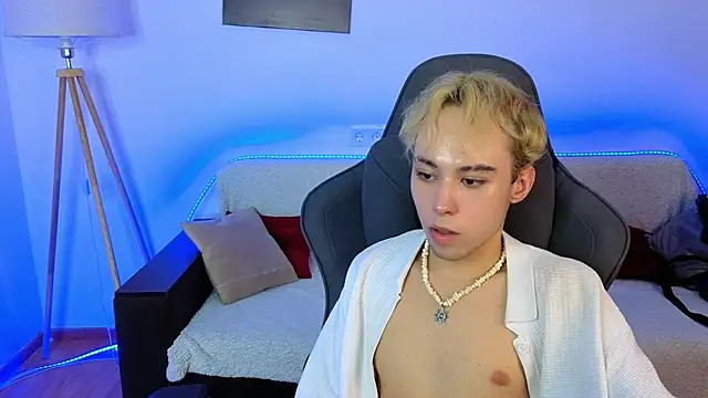 Yan_Cat Show in webcam