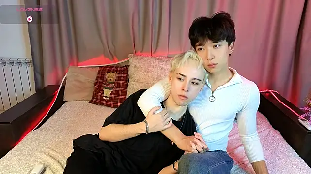 Yan_Cat Show in webcam