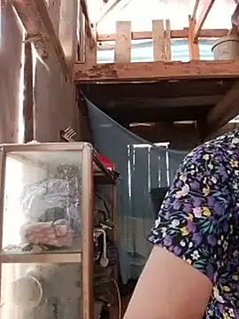Maiisa01 网络视讯表演
