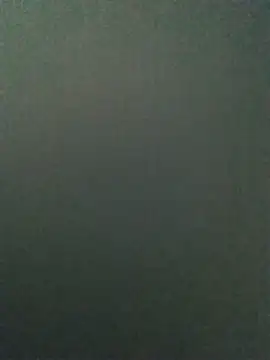 Show webcam de Alpha0300