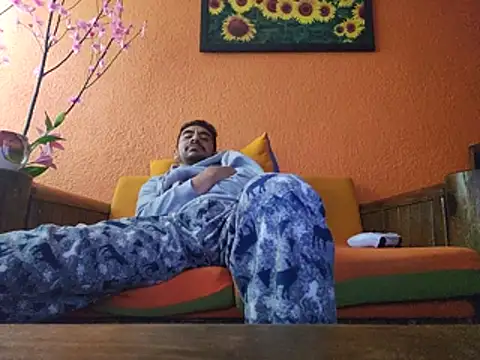 MexaCamGuyn Webbikameraesitys