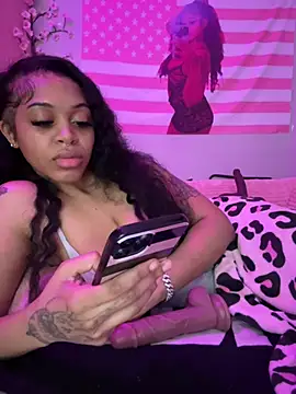 Homeb0dy's Webcam Show