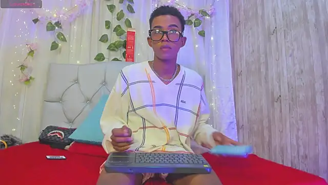 patrick_lovee1n Webbikameraesitys