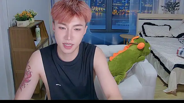 An-X888 Show Webcam