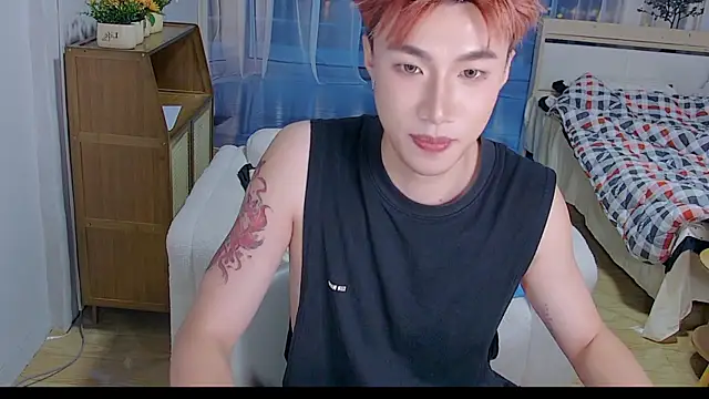 Show de An-X888 na webcam