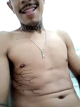 Show webcam de eemilio3
