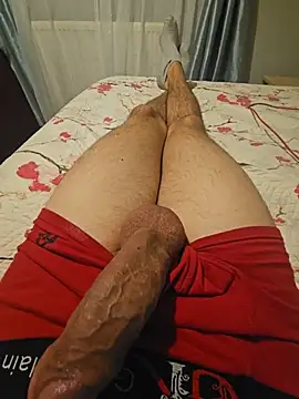 Show de SonicStrip11 na webcam
