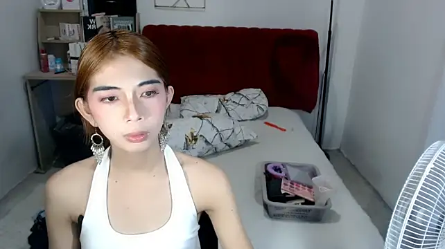 hugecockpaula Webcam show