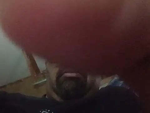 DickNasty6908 웹캠 쇼