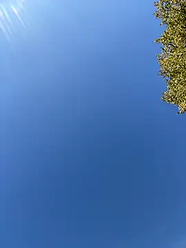 SnowWhiteSinのウェブカメラショー