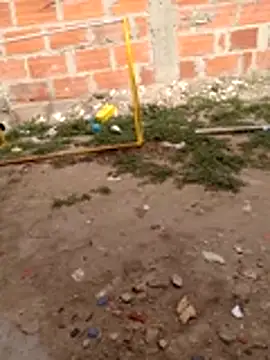 Danielk4: вебкам-шоу