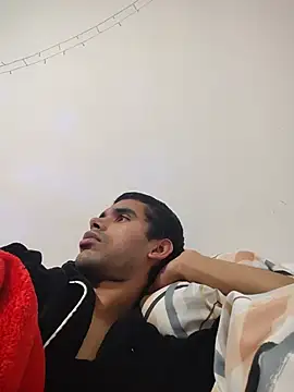 Principethomn Webbikameraesitys