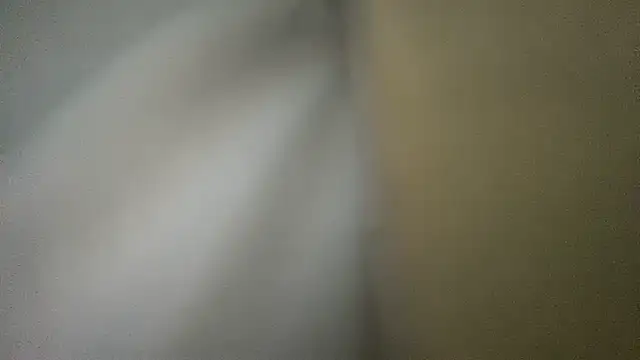 Show Webcam de niuxige001