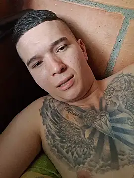 Show webcam de Mikedotow