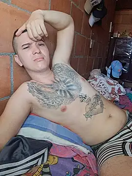 Mikedotow Webcam-Show