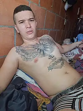 Show de Mikedotow na webcam