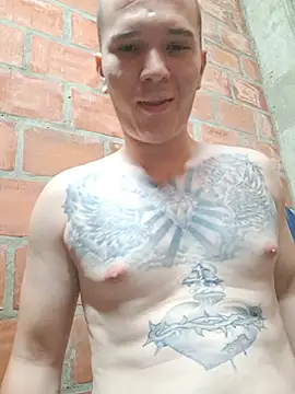 Show webcam de Mikedotow