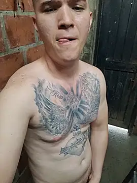 Show webcam de Mikedotow