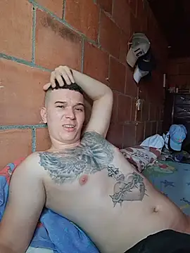 Show modela Mikedotow na web-kameri