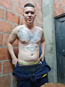 Show de Mikedotow na webcam