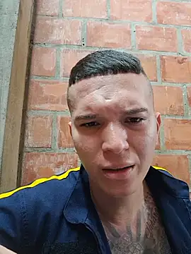 Show de Mikedotow na webcam
