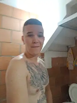 Show de Mikedotow na webcam