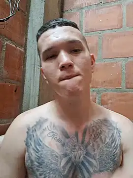 Mikedotow 网络视讯表演