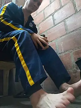 Show de Mikedotow na webcam