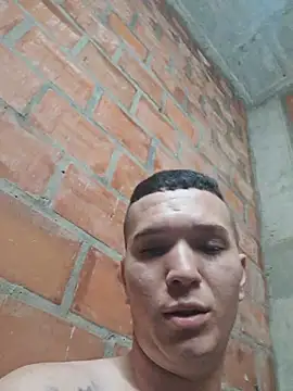 Show de Mikedotow na webcam