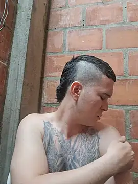 Show de Mikedotow na webcam