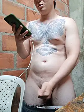 Mikedotow Webcam Show
