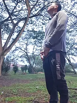 Show de Mikedotow na webcam