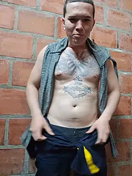 Show modela Mikedotow na web-kameri