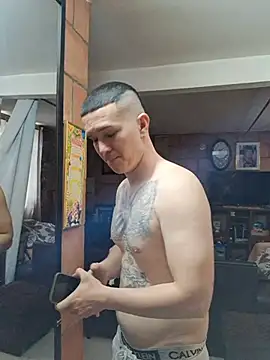 Mikedotow Webcam Show