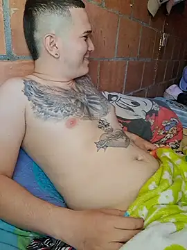 Mikedotow webcam show