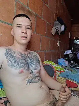 Show webcam de Mikedotow