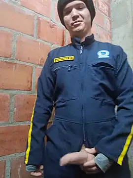 Show webcam de Mikedotow