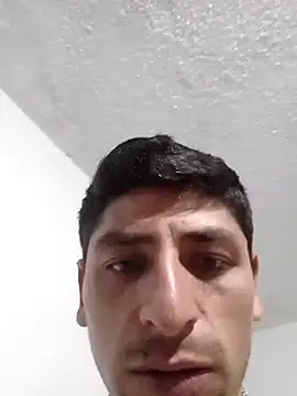 saimidamen Webbikameraesitys
