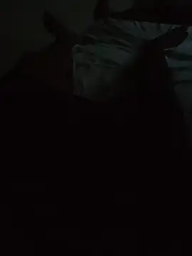 nithisg1223 Show Webcam