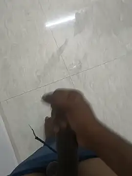 Show Webcam de nithisg1223